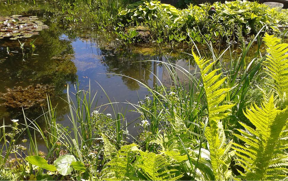 l'eau dans votre jardin l'eau dans votre jardin
